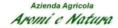 AROMI E NATURA LOGO