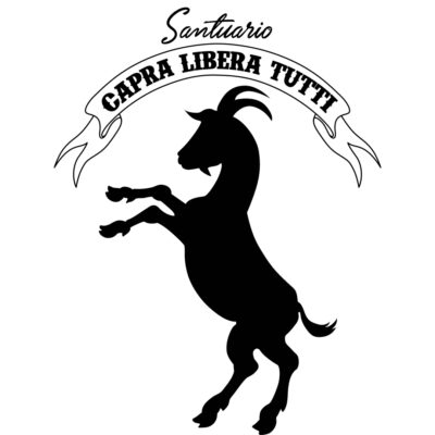 Logo santuario quadrato